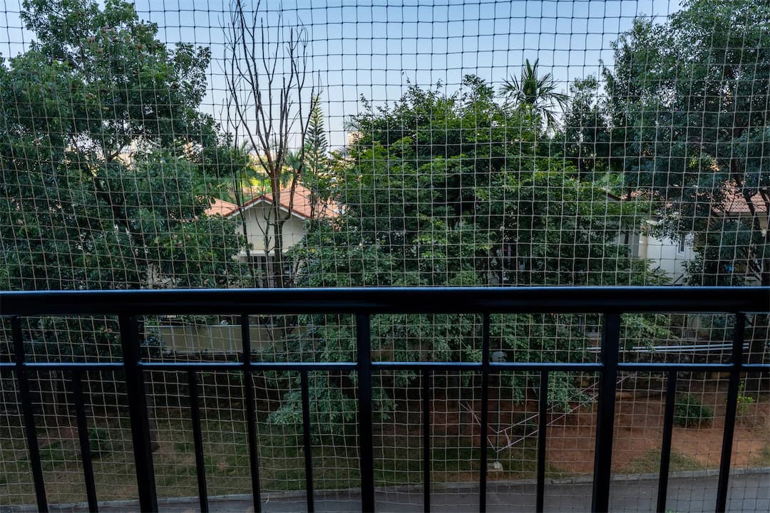 View 4